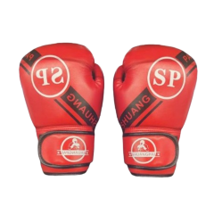 ملاكمة وكاراتيه