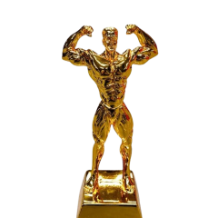 الكؤوس والمداليات